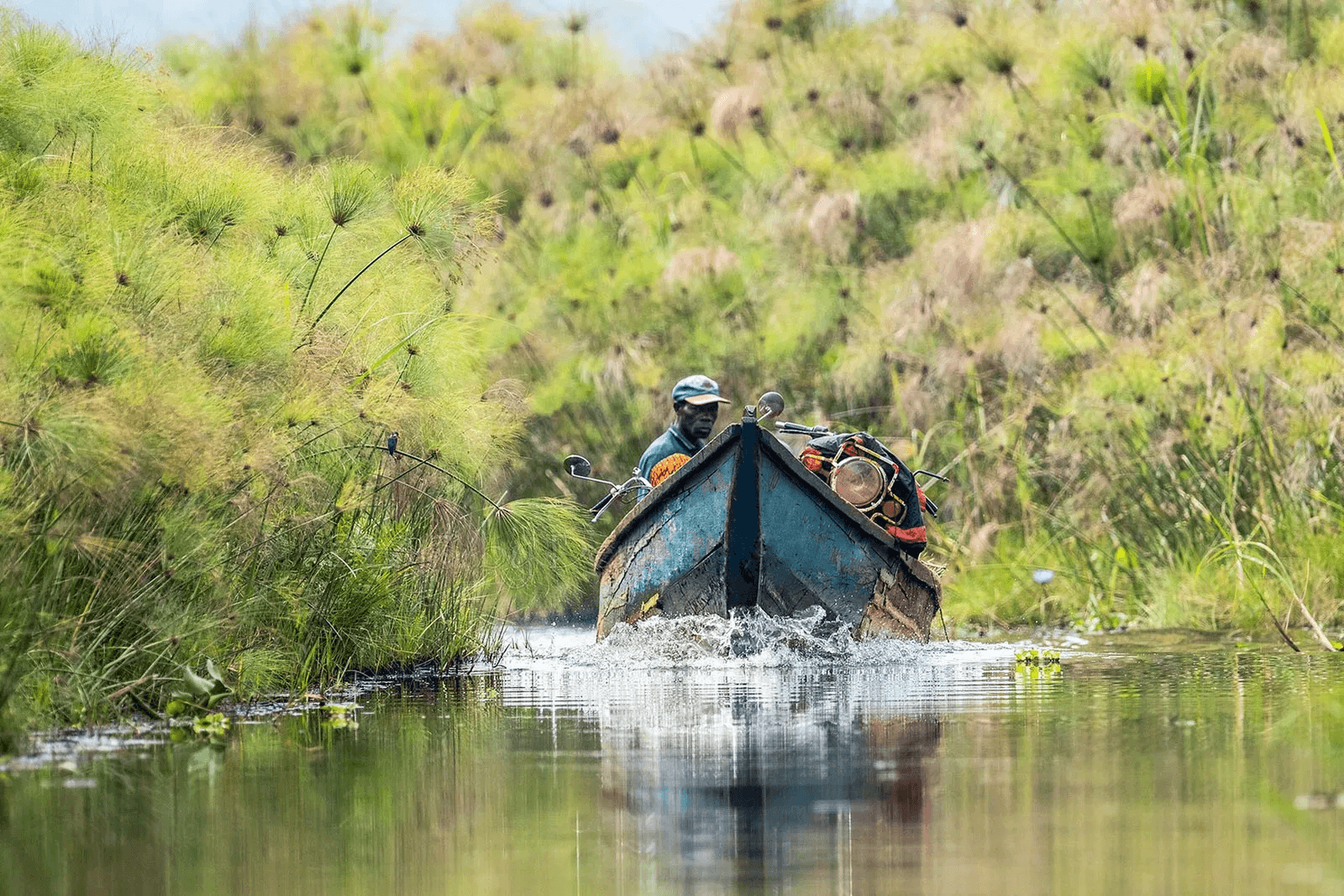 Mabamba Swamp Canoe Ride