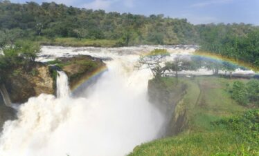 Murchison Falls Experience